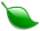 leaf icon 2